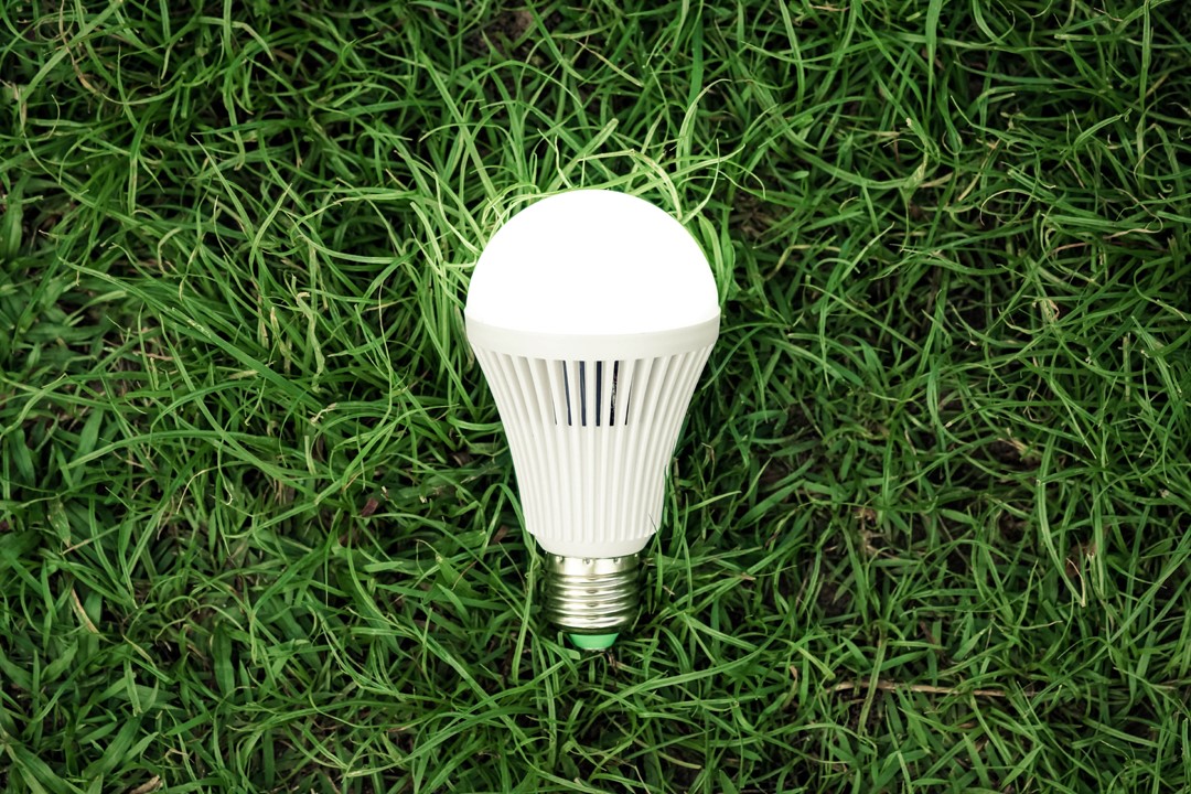 Light bulb on the ground
